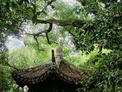 -上海醉白池公园
