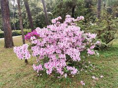 -烈士陵园(地铁站)
