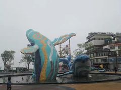 -海合安青岛极地海洋公园