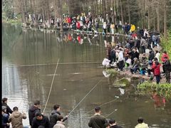 -重庆彩云湖湿地公园