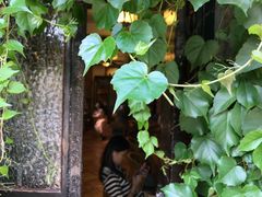 -西关84·History·Art·Cafe