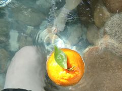 -中家鑫园温泉酒店鑫悦汤泉