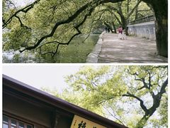 -新昌大佛寺文化旅游区