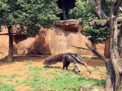 -杭州野生动物世界