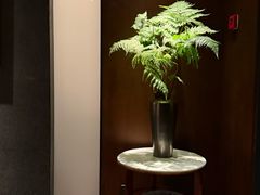 -子福慧(虹桥店)