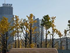 -两江幸福广场