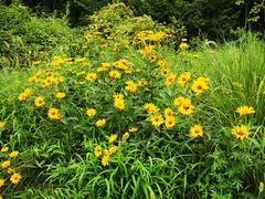 -国家植物园南园