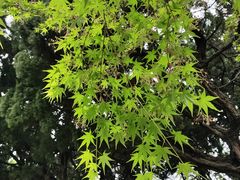 -汇龙潭