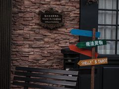 -雪灵魔法世界SHELLY’S TAROT(大良桂畔里店)
