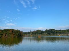 -番禺大夫山森林公园