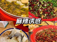 -聂发财重庆江湖菜(解放碑店)