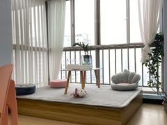 -喵宠乐园·撸猫互动·猫舍