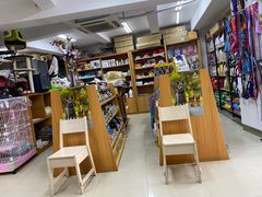 -爱侣宠医·鹦鹉专科·小型哺乳类·异宠专科(灵石路店)