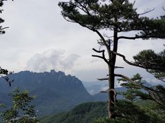 -洛阳白云山景区