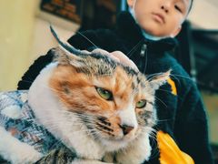 -七叔是岛民(花基新村店)