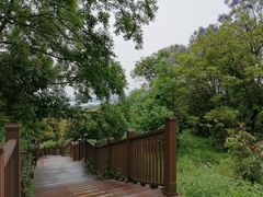-张坝桂圆林公园