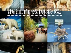 -浙江自然博物院(杭州馆)