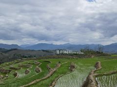 -牙胡梯田景区