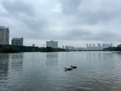 -南宁南湖公园