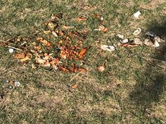 -北运河水利风景区