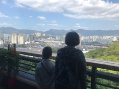 -金鸡山公园