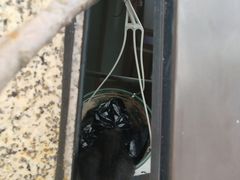 -海门爱心宠物医院