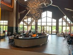 -碧桂园润杨溪谷温泉酒店