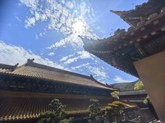 -普陀山风景名胜区-法雨禅寺