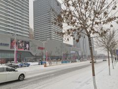 -万达广场(东营西城店)
