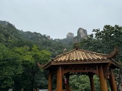 -大岭沟猕猴桃谷风景区