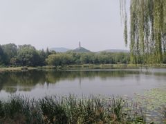 -北坞公园