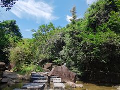 -广州白江湖森林公园