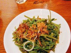 -菌自由丨野生菌火锅特色庭院餐厅(丽江古城店)