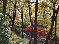 -青岛崂山太清宫