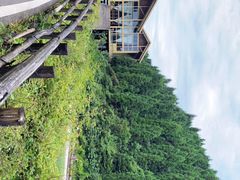 -武陵山森林公园