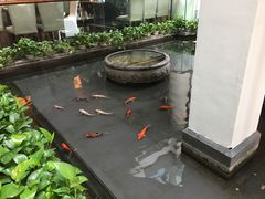 -旺顺阁鱼头泡饼(小红门店)