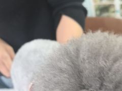 -心仪动物医院·牙专科·肿瘤·心脏科(西客站院)