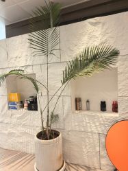 -BOF HAIR BY HONTO