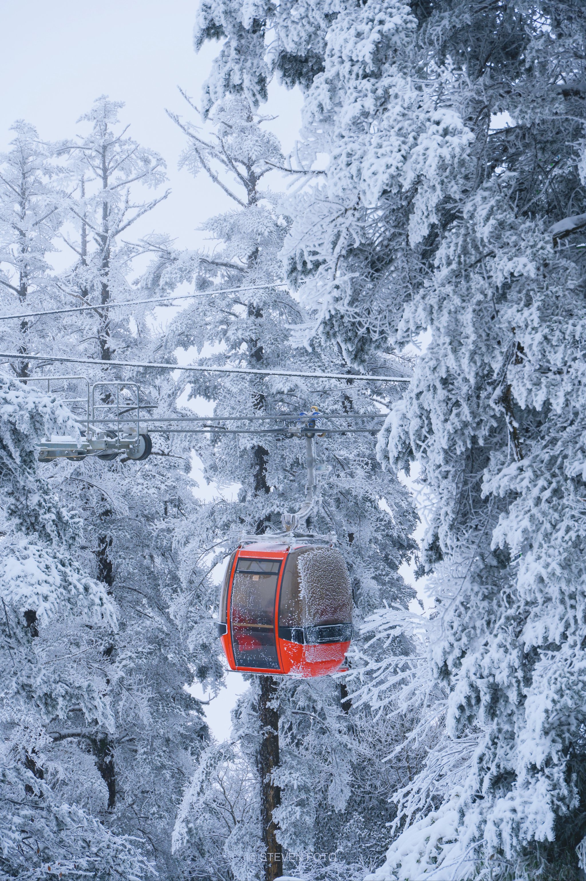 玩雪的照片真实图片