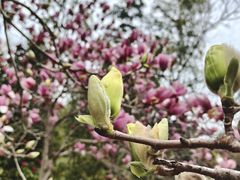 -宜兴龙背山森林公园
