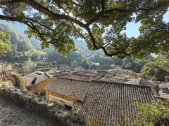 -杨家堂村