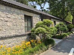 -日照海滨国家森林公园