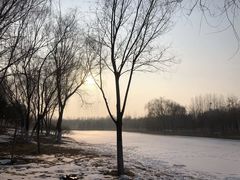 -大兴滨河森林公园