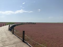 -红海滩国家风景廊道