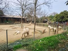 -南昌动物园
