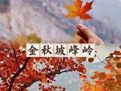 -周口店坡峰岭风景区