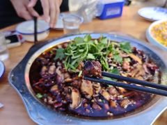 -食神又名厕所兔