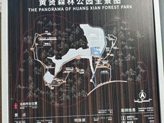 -黄贤森林公园