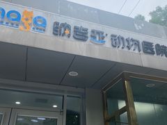 -纳吉亚猫专科动物诊疗中心(蒋宅口分院)