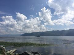 -才村湿地公园